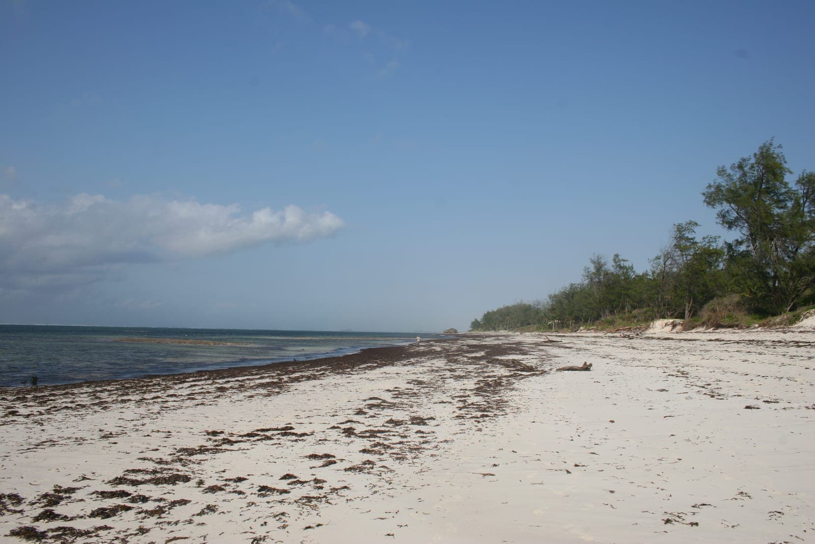 Watamu Beach Camps and Eco-Lodges