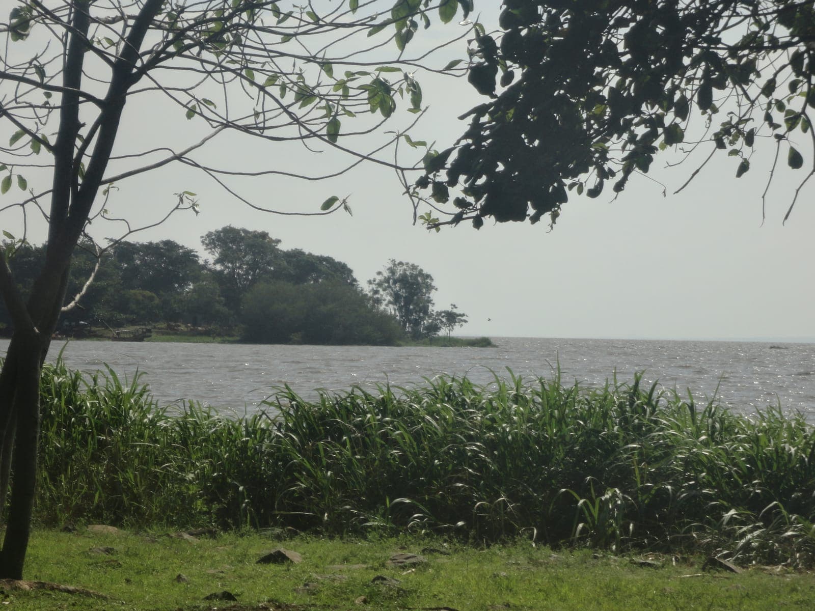 Boat Rides and Sunsets on Lake Victoria