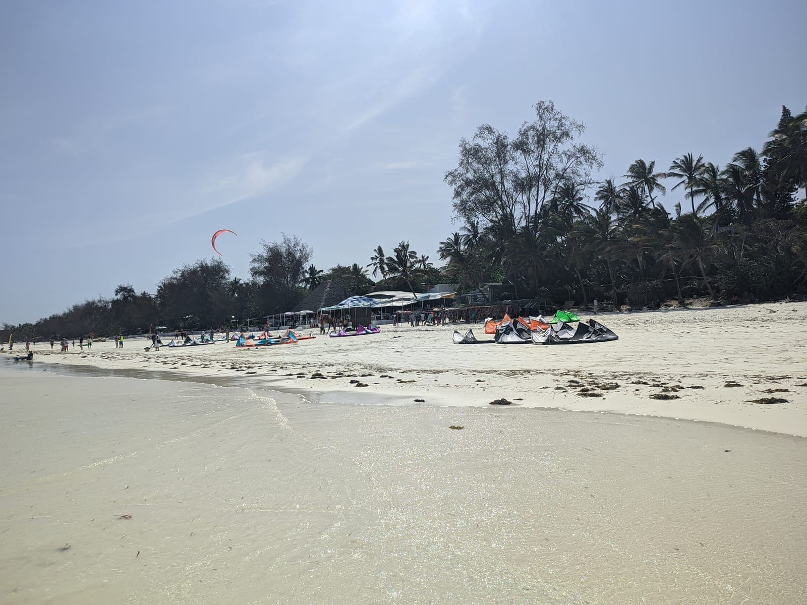 Where to Eat in Diani: Seafood Shacks to Fine Dining