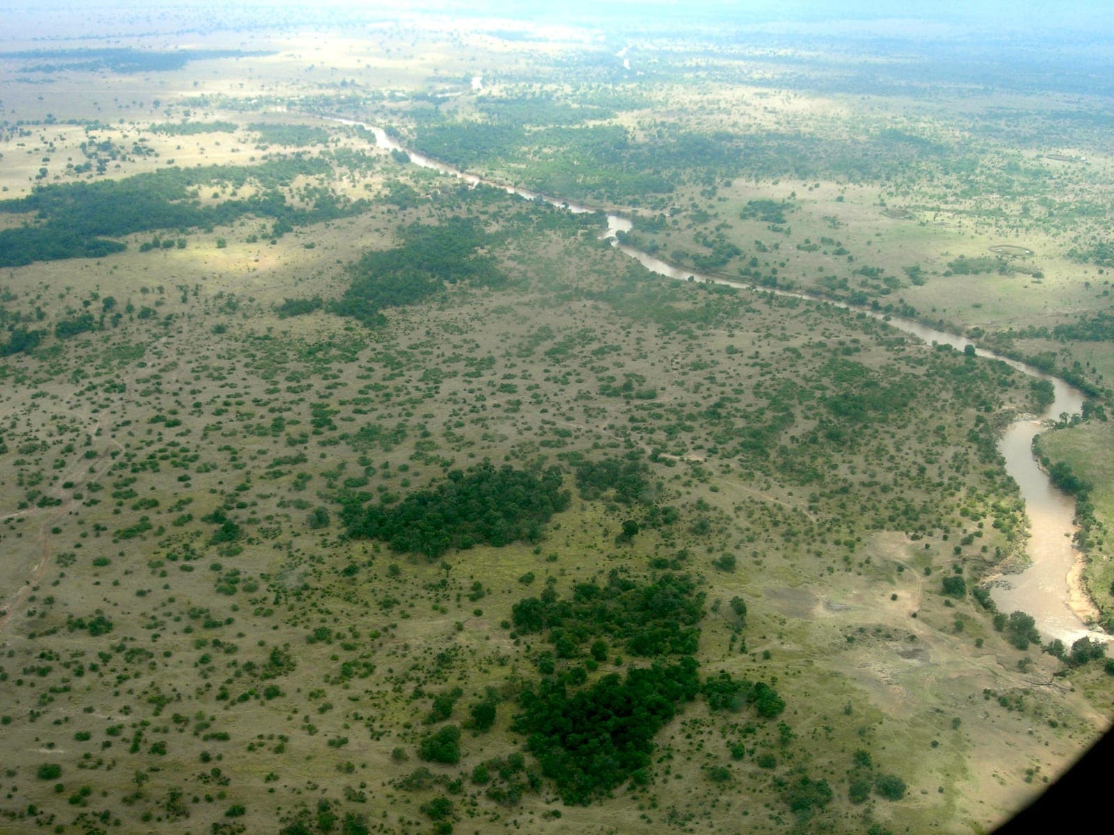 Maasai Mara Safari Guide: The Great Wildebeest Migration
