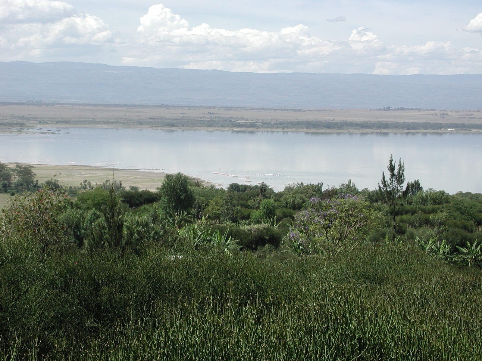 Kariandusi & Prehistoric Rift Valley Sites Near Elementaita