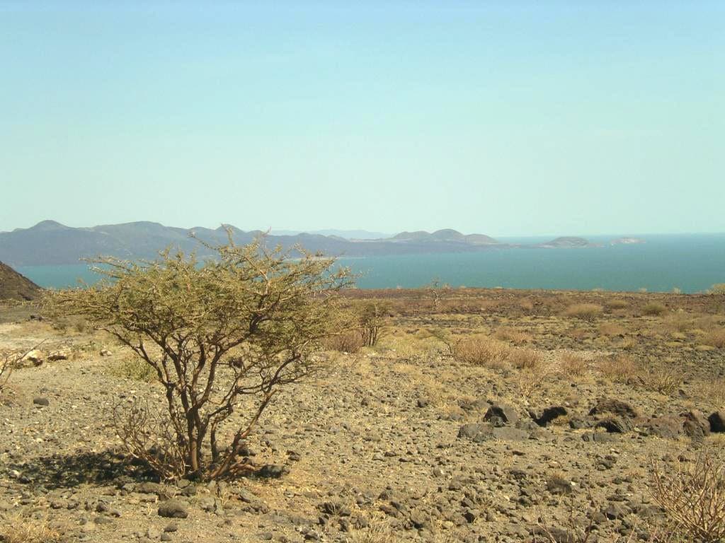Camping Expeditions to Lake Turkana