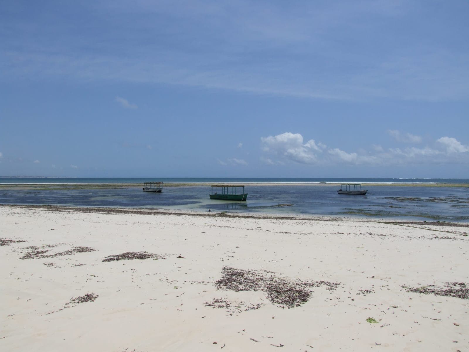 Malindi Marine National Park: Glass-Bottom Boat Rides