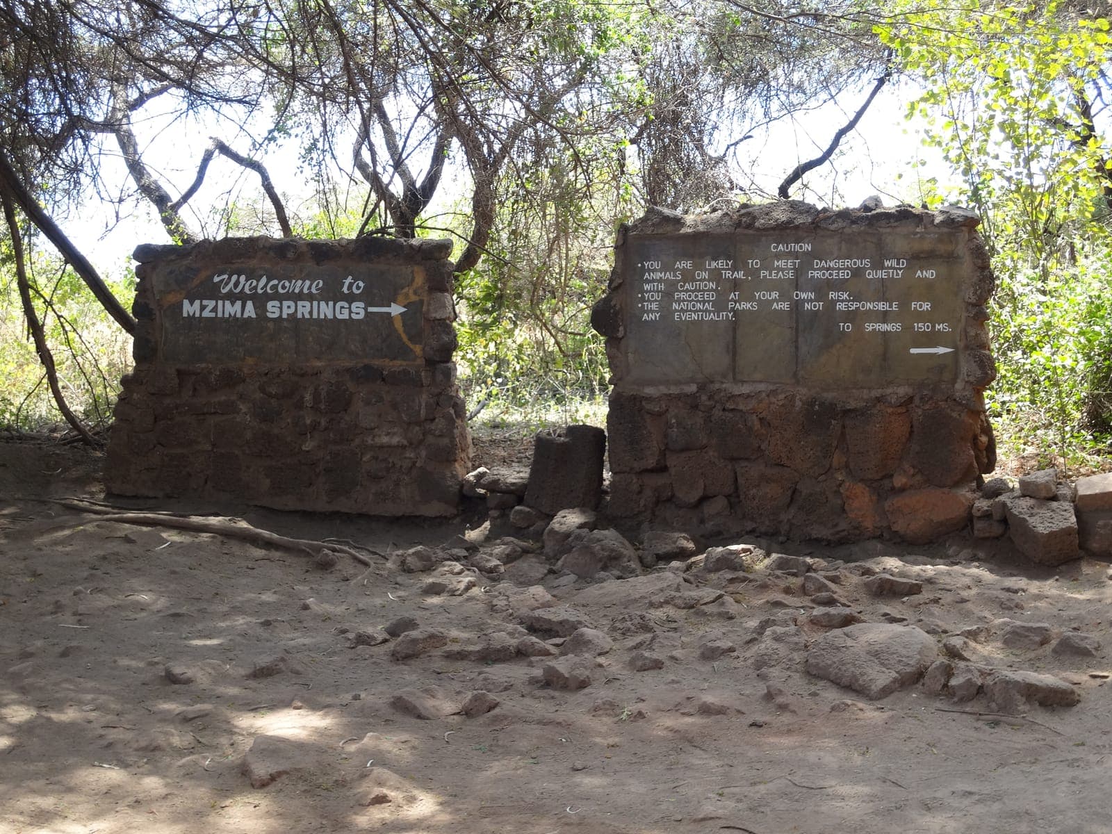 Mzima Springs: An Underwater Window Into Tsavo