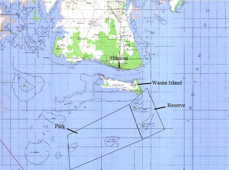 Dolphin Watching Off Wasini Island