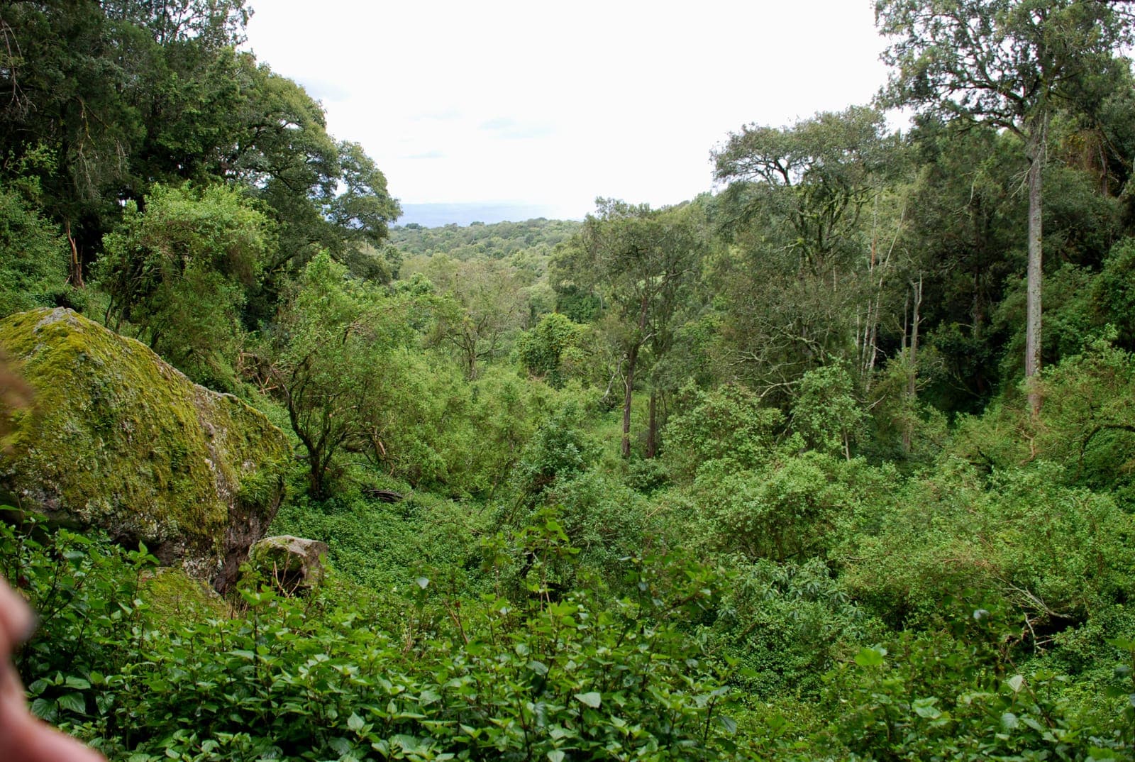 Mount Elgon: Caves, Waterfalls and an Extinct Volcano