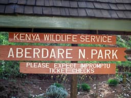 Treetop Lodges in the Aberdares: Watching Wildlife From Above
