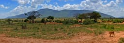Tsavo East as a Nairobi–Mombasa Road Trip Stop