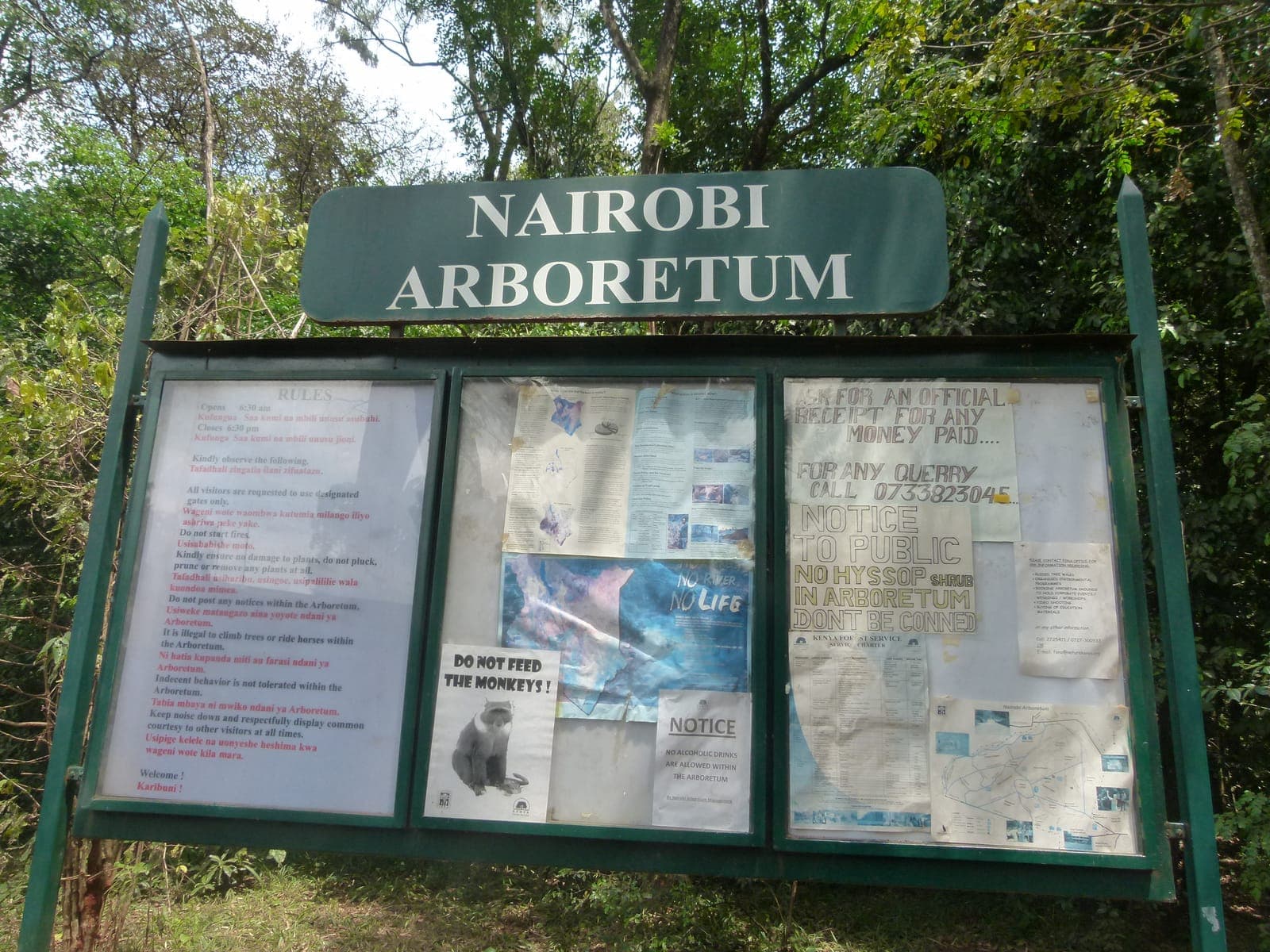 Nairobi Arboretum: A Green Escape in the City Centre