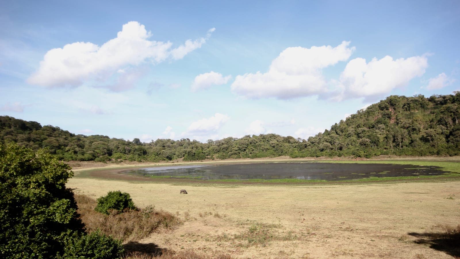 Marsabit National Park: Kenya's Forested Desert Oasis