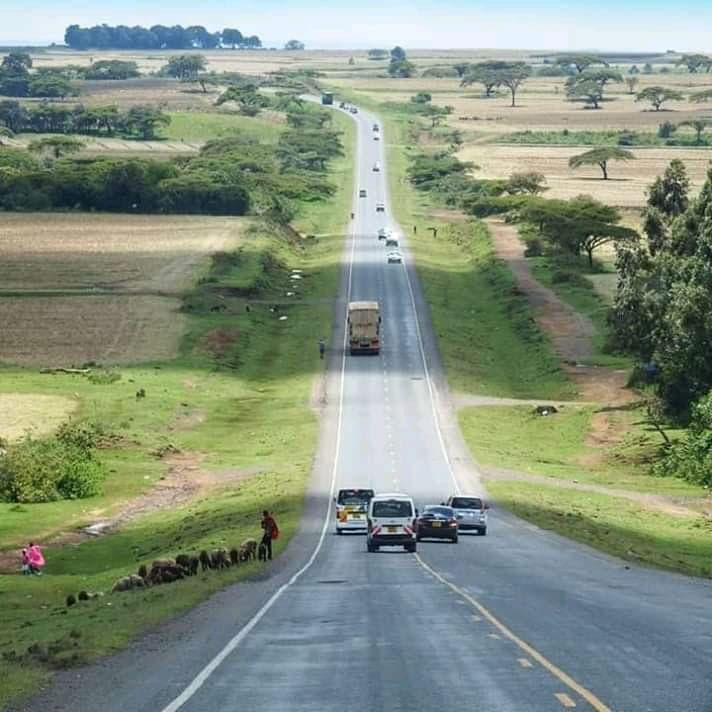 Bomet's Tea Country Evening Scene