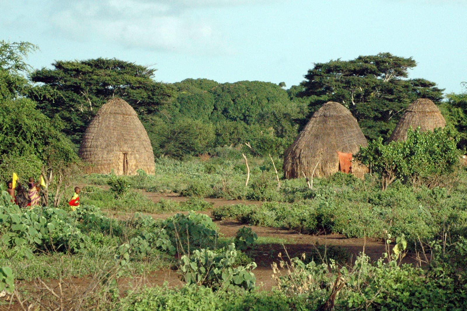 The Orma: Cushitic Cattle Herders of the Tana Delta